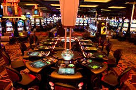 bet 559 com