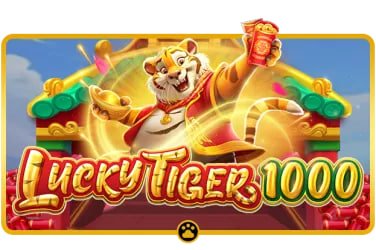 bet 559 com