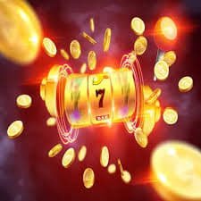 bet 559 com